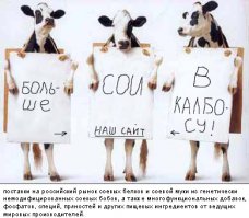 Рецепт. Сервелат домашний, без говядины