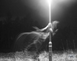 15 самых жутких ресторанов с призраками в США