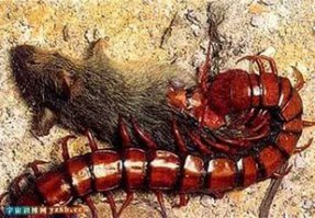 Фотоподборка за 13.04.2016