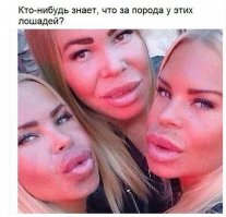 Да Все знают эту породу-ТП обыкновенная