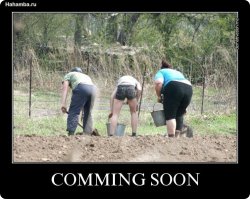 Не нужен нам берег турецкий: где отдохнуть на майские праздники без визы?