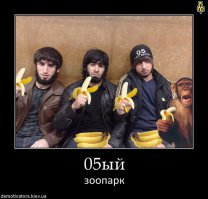 Обезьяны поганые!