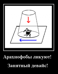 Ловец пауков