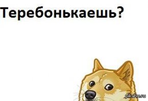 Художник запечатлел процесс секса в рентгеновских лучах