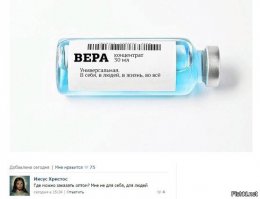Мужчина ежедневно кормит 80 бездомных собак, потому что не может видеть, как они голодают 
