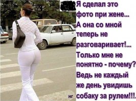 Мастера отвлекающих маневров 