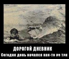 Крути педали, пока не дали: неожиданный улов застал любителя рыбной ловли врасплох