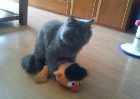 Это не Эрни, а Еник))

По крайней мере, в моем детстве они были Влас и Еник.