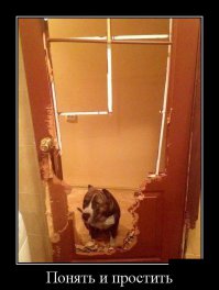 Фотоподборка за 14.04.2016