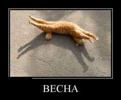 Фотоподборка за 14.04.2016