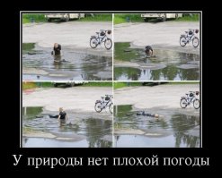 Фотоподборка за 14.04.2016