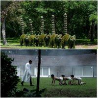 Солянка удивительных фоток