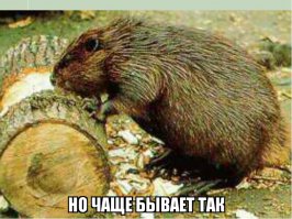 Картинки с надписями про это