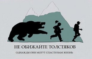 Спокойствие, только спокойствие: медведи не любят суеты