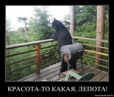 Как я встретил медведя: самые лихие и неожиданные встречи с Топтыгиным в кубиках!