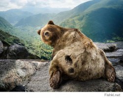 Как я встретил медведя: самые лихие и неожиданные встречи с Топтыгиным в кубиках!