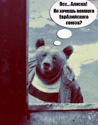 Как я встретил медведя: самые лихие и неожиданные встречи с Топтыгиным в кубиках!