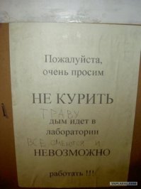 Сигареты без никотина: трава она и есть трава