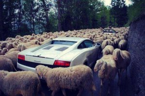 На Кавказе все так свои Приоры полируют!