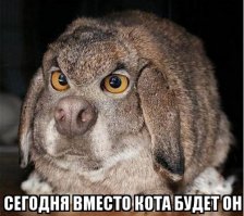 Дед Фартовый