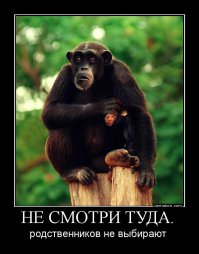 Всё ОК, всех в сад: