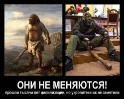 укропитеки из 404, куйли..