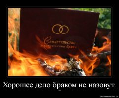 Тараканы в женской голове