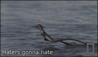 кот-ниндзя ))) 
И еще пара его коллег )))