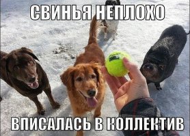 Картинки с надписями