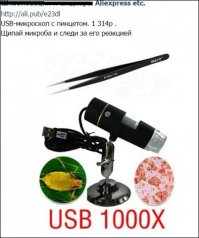 Картинки с надписями