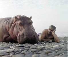 17 причин, по которым полные женщины не должны носить бикини