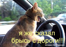 В дороге я спокоен