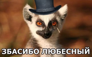 «Чеши, чеши! Не отвлекайтся!» Узбагоитель просит детей чесать ему спину