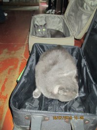 Мои .. путешественники)))