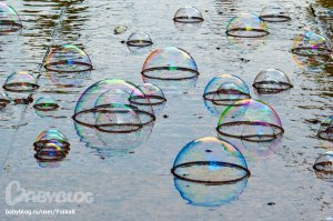 ТОП5 видеоблогеров России и мира