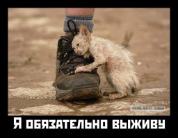 У меня есть свое фото, очень сильно вправившее мне мозги, совсем не эпическое и, даже, не историческое. Вот оно.