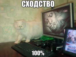 Как выглядят комнаты людей, которые реально помешаны на играх