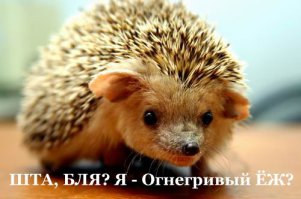 Откровения в интернете, о чём не говорят вслух