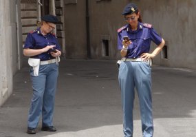 В Италии был таких самцов не видел,попадались все такие