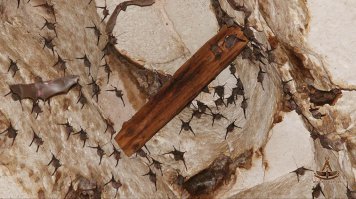 Куда интереснее использование дерева в погребальной камере.