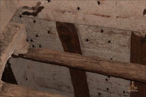 Куда интереснее использование дерева в погребальной камере.