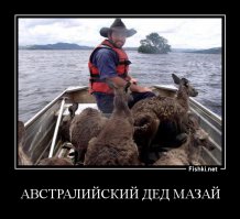Крис Барнс - спаситель детенышей кенгуру