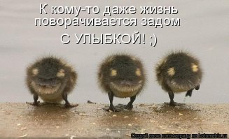 Фото приколы за 20.04.2016