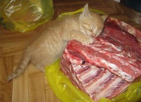 Так выглядит абсолютное счастье...