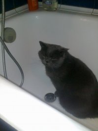 ...мне с пенкой и не очень горячую...