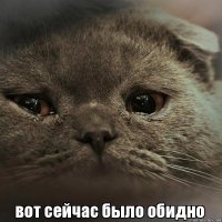 "...И хорошо, если успела родить -- хоть не в обнимку с котами..."