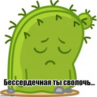 20 питомцев, которых не оставишь дома на время отпуска без зазрения совести