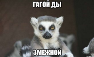 «Чеши, чеши! Не отвлекайтся!» Узбагоитель просит детей чесать ему спину