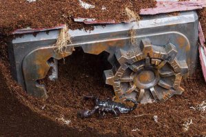 Фотоподборка за 21.04.2016