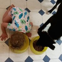 Детки, такие детки